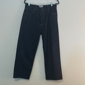 Agolde Ren Jeans in Dark Indigo